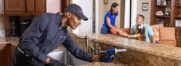 Best Real Estate Pest Inspections  in Montvale, NJ